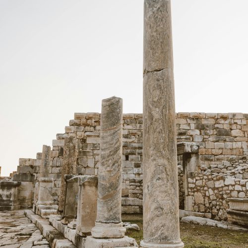 pexels-roman-odintsov-6422210 (1)